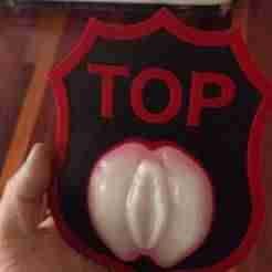 Top Cunt Plaque