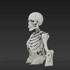 Futuristic Cyborg Skeleton – Human & Mechanical Hybrid Model