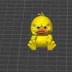 Grumpy Duck